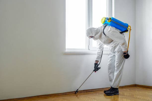 Best Best Pest Control Companies  in Pawhuska, OK