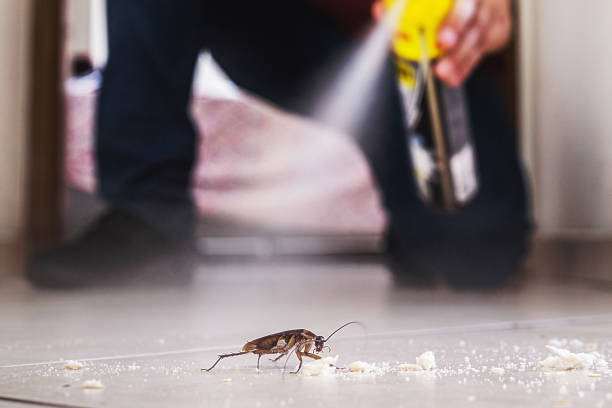 Best Wildlife Control Services  in Pawhuska, OK