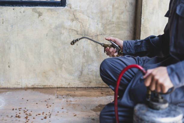 Best Affordable Pest Control Services  in Pawhuska, OK