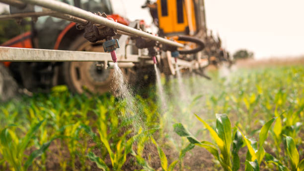 Best Local Pest Control Services  in Pawhuska, OK